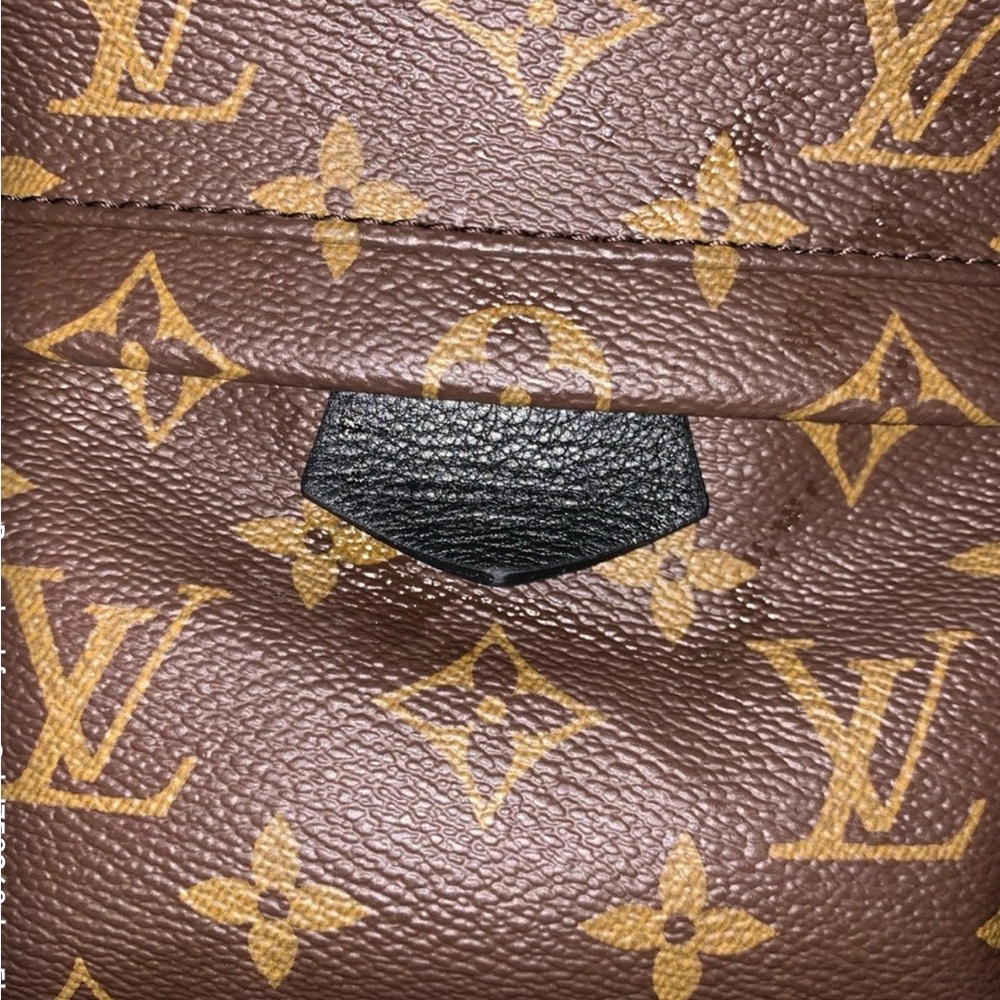 Louis Vuitton 
Monogram Palm Springs Backpack PM - Picture 12 of 15